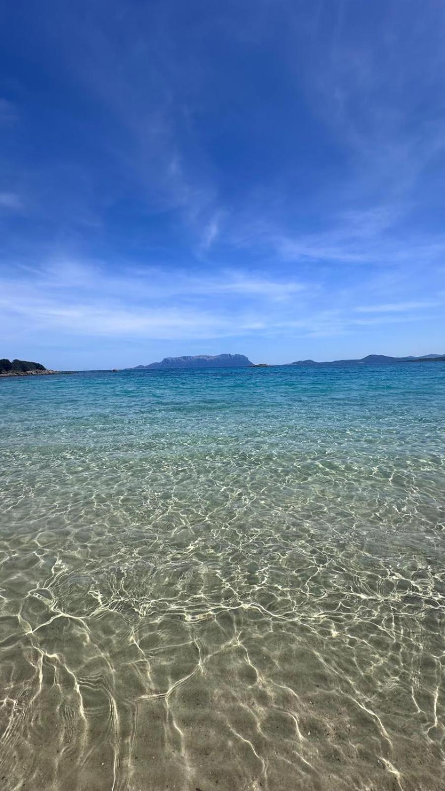 Stella Marina *